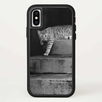 Stray Cat on Stairs iPhone X Case