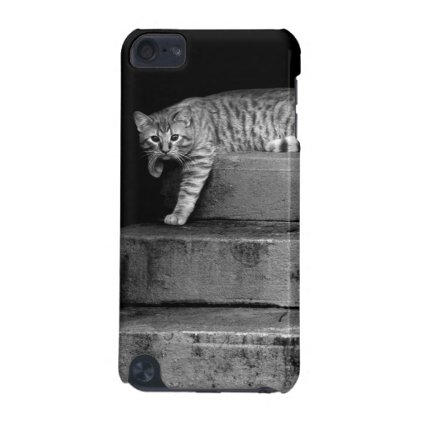 Stray Cat on Stairs iPod Touch 5G Case