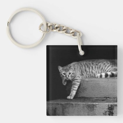 Stray Cat on Stairs Keychain