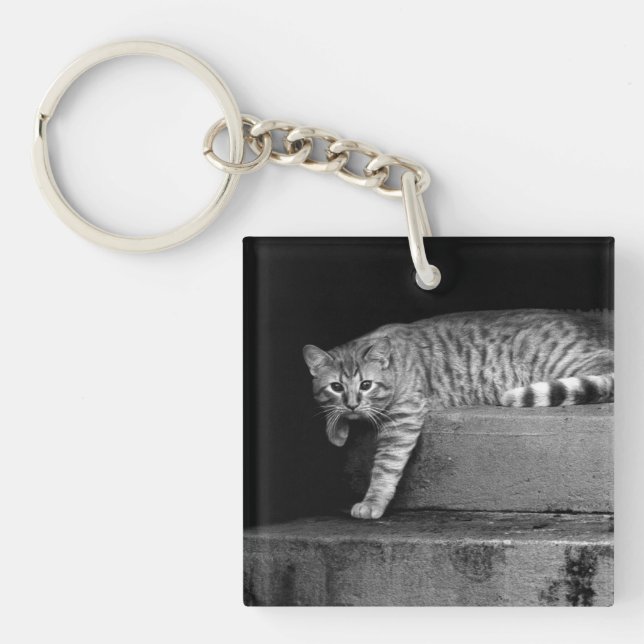 Stray Cat on Stairs Keychain (Front)