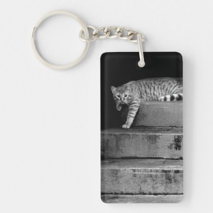 Stray Cat on Stairs Keychain