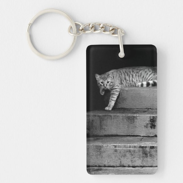 Stray Cat on Stairs Keychain (Front)