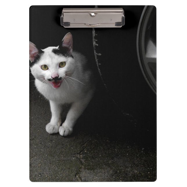 Stray Cat with Mustache Clipboard (Front)