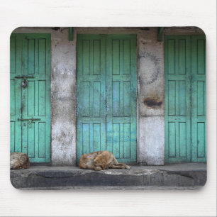 Stray dogs in front of dirty green doors mousepad