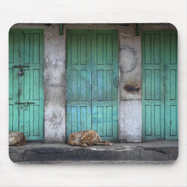 Stray dogs in front of dirty green doors mousepad (Front)