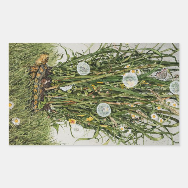 Stray Sod Rectangular Sticker (Front)