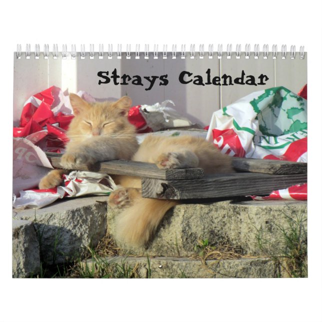 Strays Calendar (Cover)