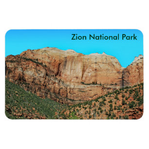 Streaked Wall and the Beehives Magnet