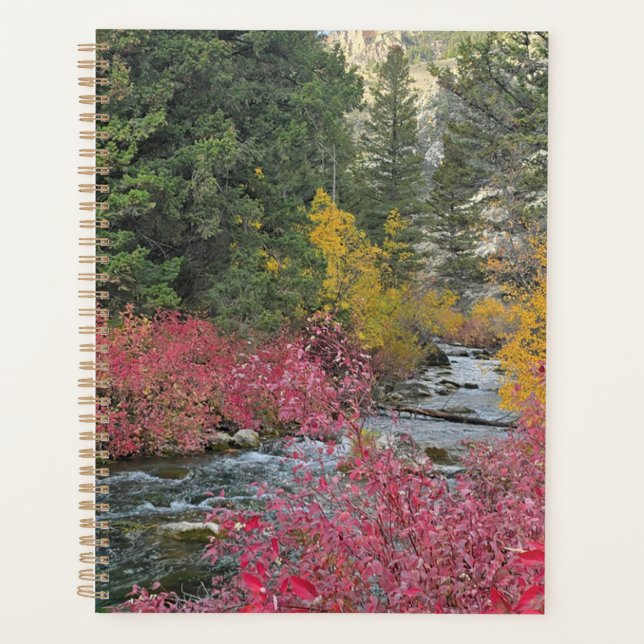 Stream Blooms Planner (Front)