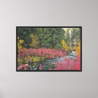 Stream Blooms Stretched Canvas Print