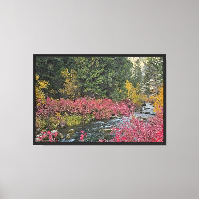 Stream Blooms Stretched Canvas Print (Front)
