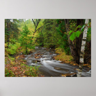 Stream in Duluth Woods Poster
