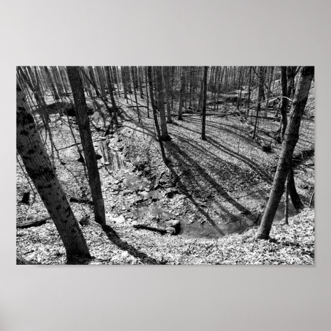 Stream in Highbanks Metropark (black/white) Poster (Front)