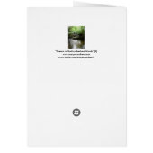 "Stream in Northumberland Woods" (2) Cards (Back)