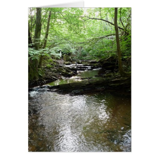 "Stream in Northumberland Woods" (2) Cards (Front)