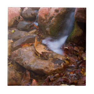 Stream in Payson, Arizona  Ceramic Tile