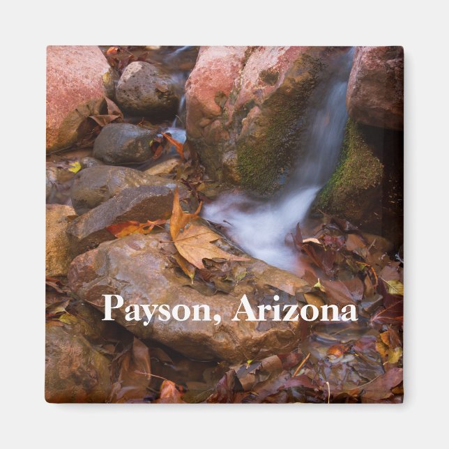 Stream in Payson, Arizona Magnet (Front)