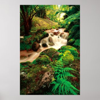 Stream In The Forest Poster by gavila_pt at Zazzle