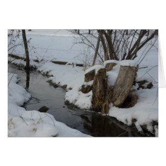Stream in Winter Cards