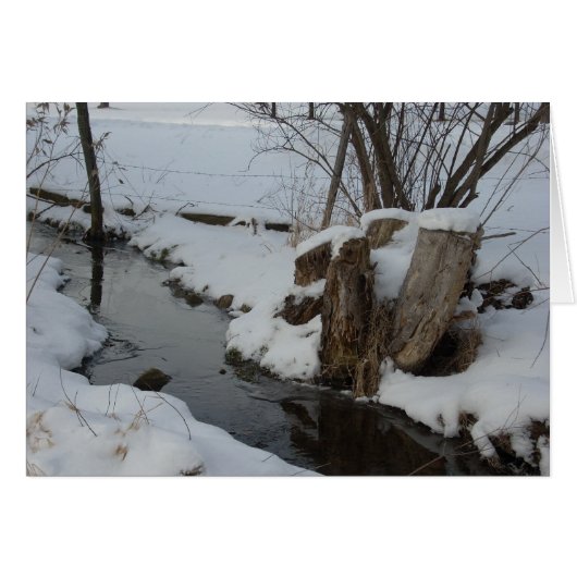 Stream in Winter Cards (Front Horizontal)