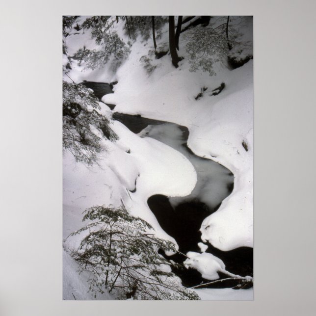 Stream in Winter Poster (Front)