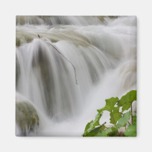 Stream Magnet