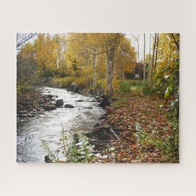 Stream Running Through Woods Jigsaw Puzzle (Horizontal)