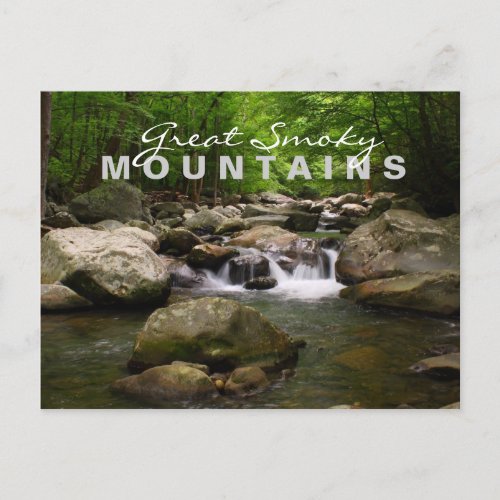 Streams and Rivers _ Great Smoky Mountains Postcard