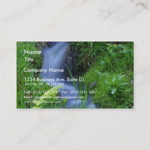 Customizable Streams Brooks Meadows Mosses Business Card
