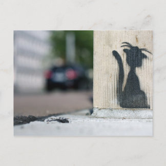 street cat postcard