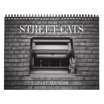 Street Cats Calendar by BluePlanet at Zazzle