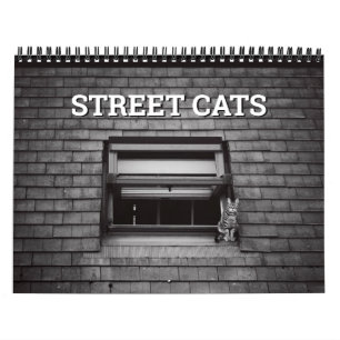 Street Cats Photography Calendar