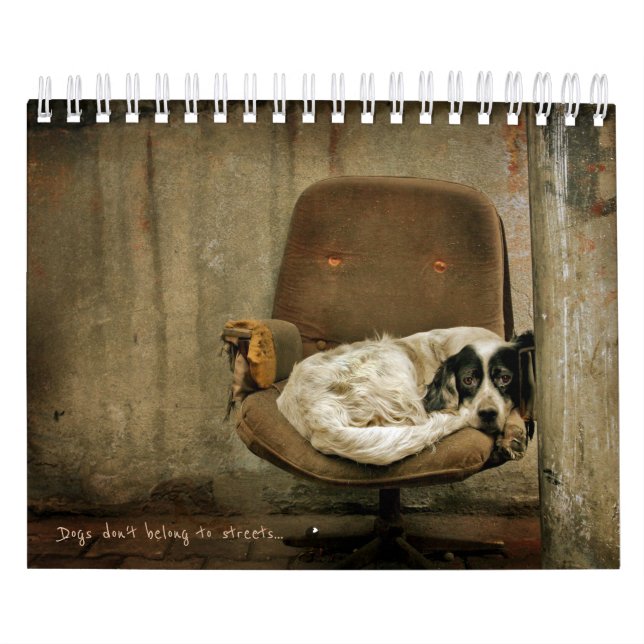 Street Dogs Calendar (Cover)