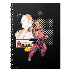 Street Fighter Notebooks & Journals