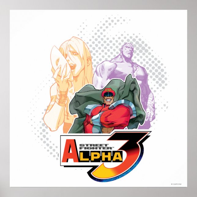 Street Fighter Alpha 3 Shadowloo Poster (Front)