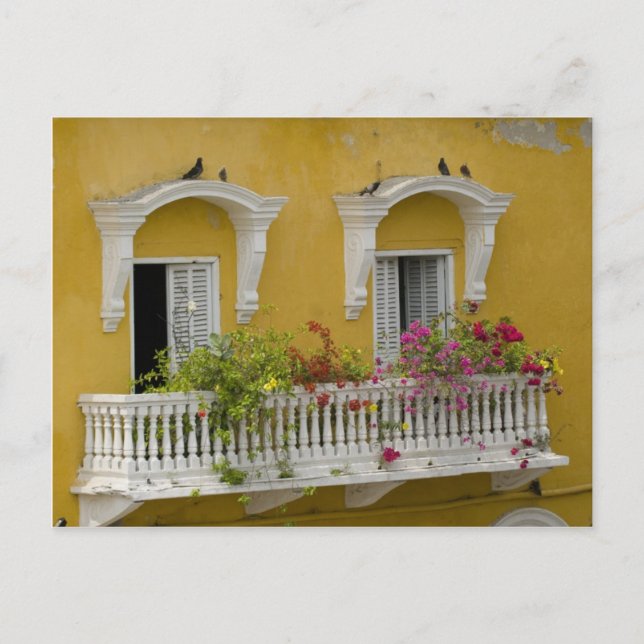 Street in Cartagena Postcard (Front)