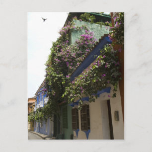 Street in Cartagena Postcard