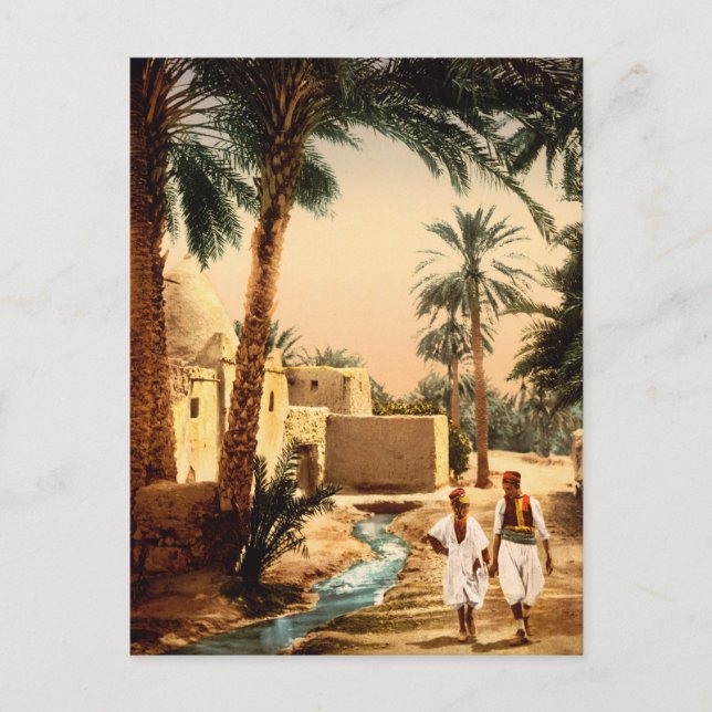 Street in the old town, Biskra, Algeria Postcard (Front)