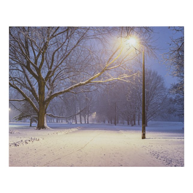 Street lights and covered in snow trees faux canvas print (Front)
