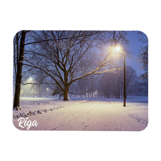 Street lights and covered in snow trees magnet (Horizontal)