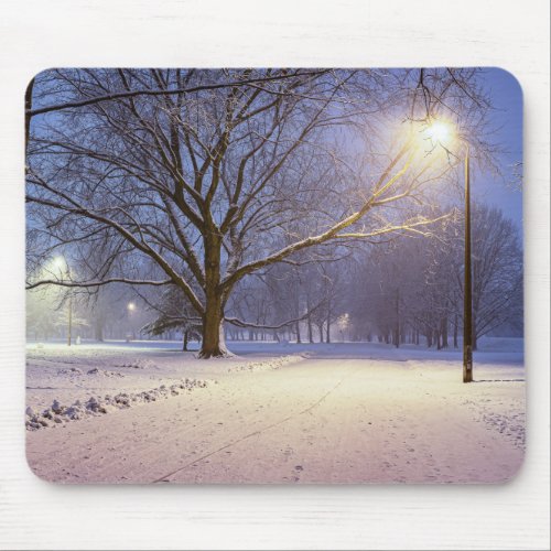 Street lights and covered in snow trees mouse pad