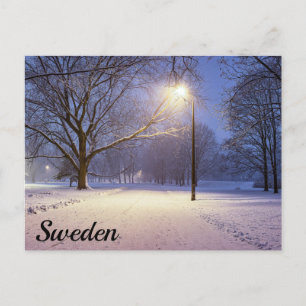 Street lights and covered in snow trees postcard