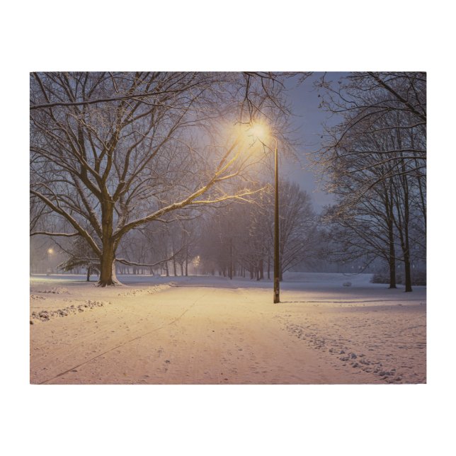 Street lights and covered in snow trees wood wall art (Front)