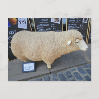Street Sheep Postcard