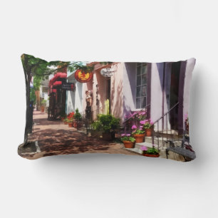 Street With Art Gallery and Tobacconist Alexandria Lumbar Pillow