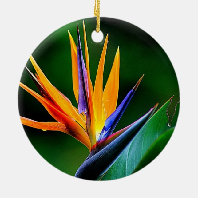 Strelitzia. Bird of paradise flower. Ceramic Ornament (Back)