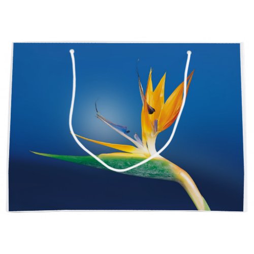 Strelitzia Bird of paradise flower Large Gift Bag