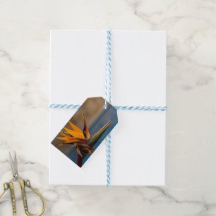 Strelitzia Flower South Africa Nature Gift Tags