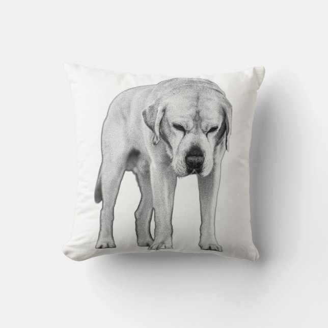 Strength in Stillness Throw Pillow (Front)