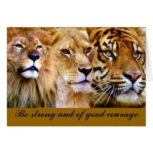 Strength & Power_ Cards (Front Horizontal)
